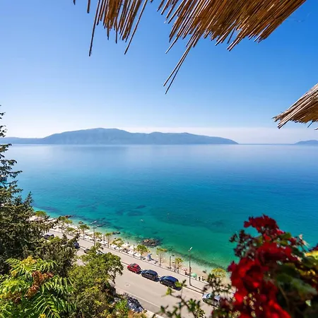 Pool Side - Happy * Vlorë